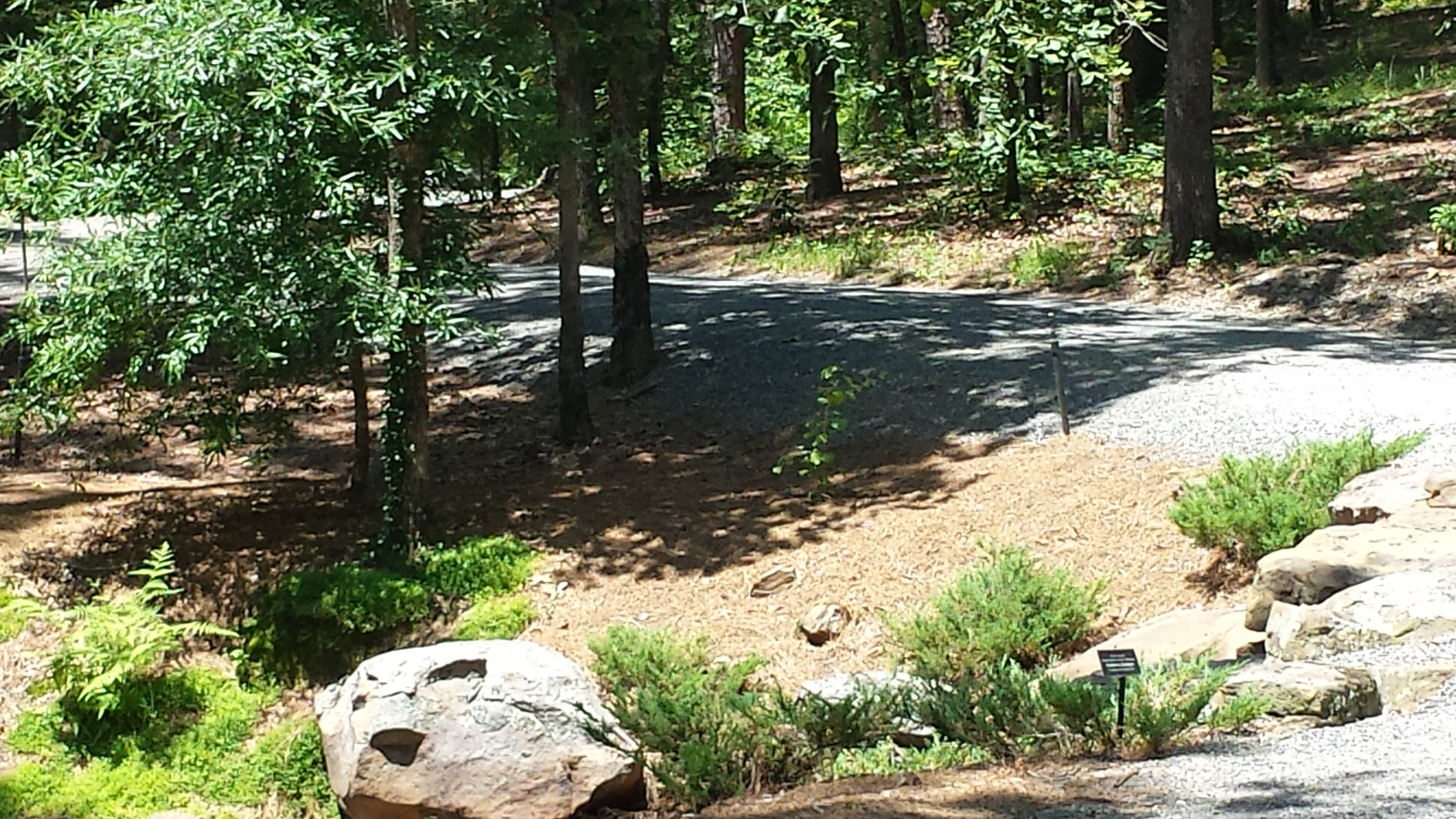 Avatar for L & M Lawn Services