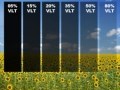 Window Tinting Shades