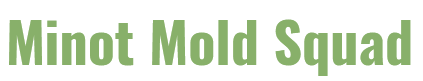 Avatar for Minot Mold Squad