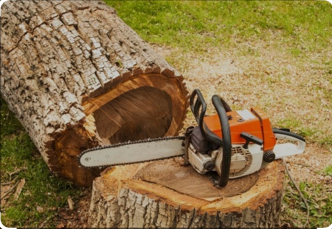 Avatar for Independent