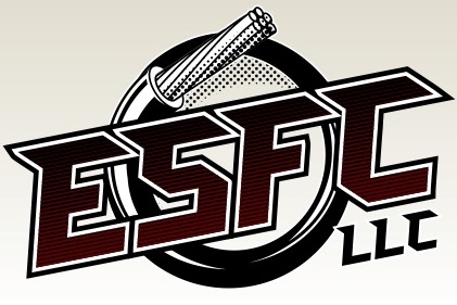 Avatar for Electrical Services of Fairfield County LLC Licence # 182478