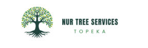 Avatar for Nur tree service