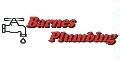 Avatar for Barnes Plumbing