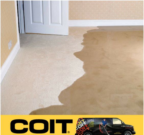Coit Carpet Cleaners Cincinnati Ohio Usa