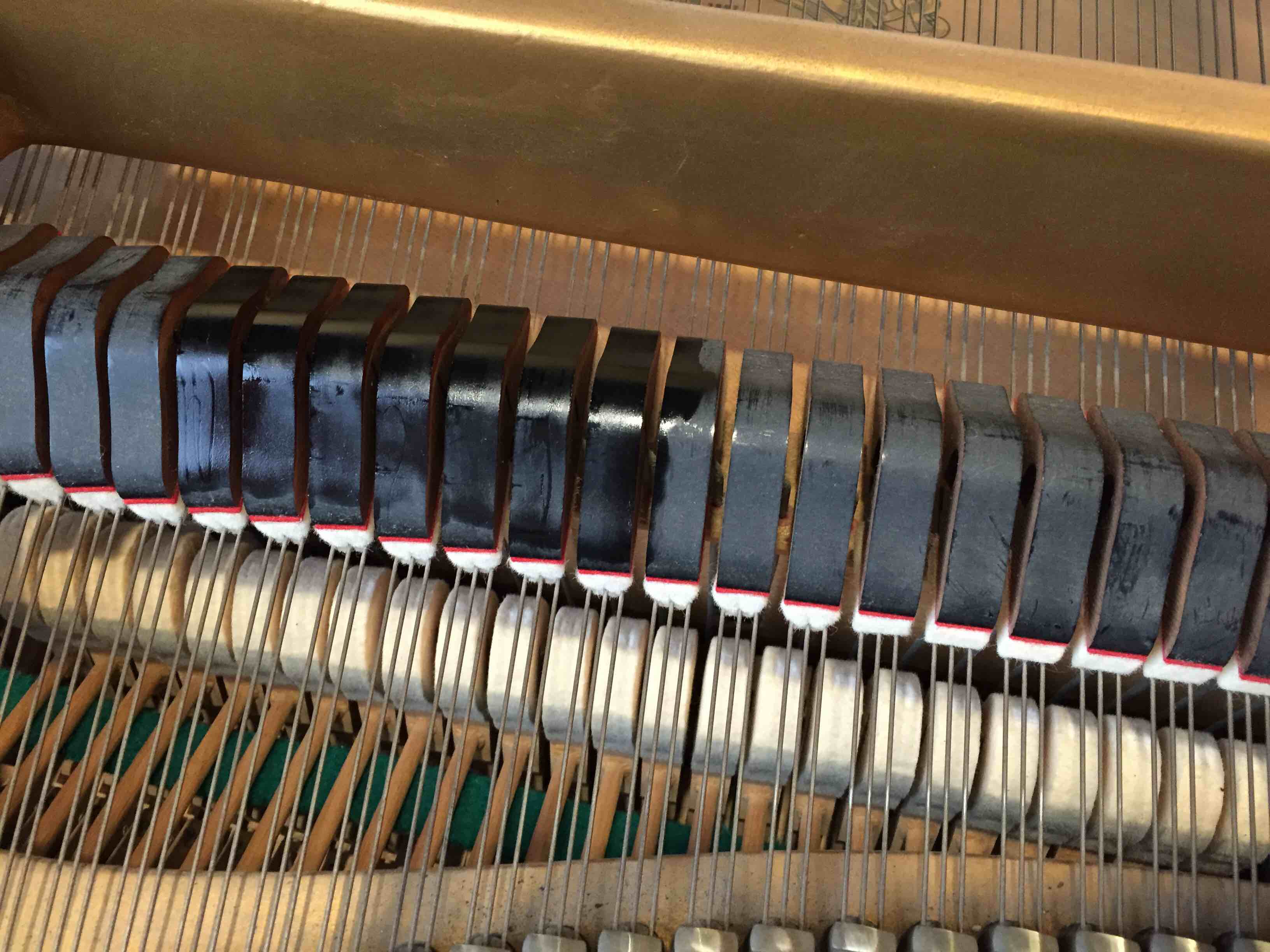 Avatar for Stephen Brown RPT