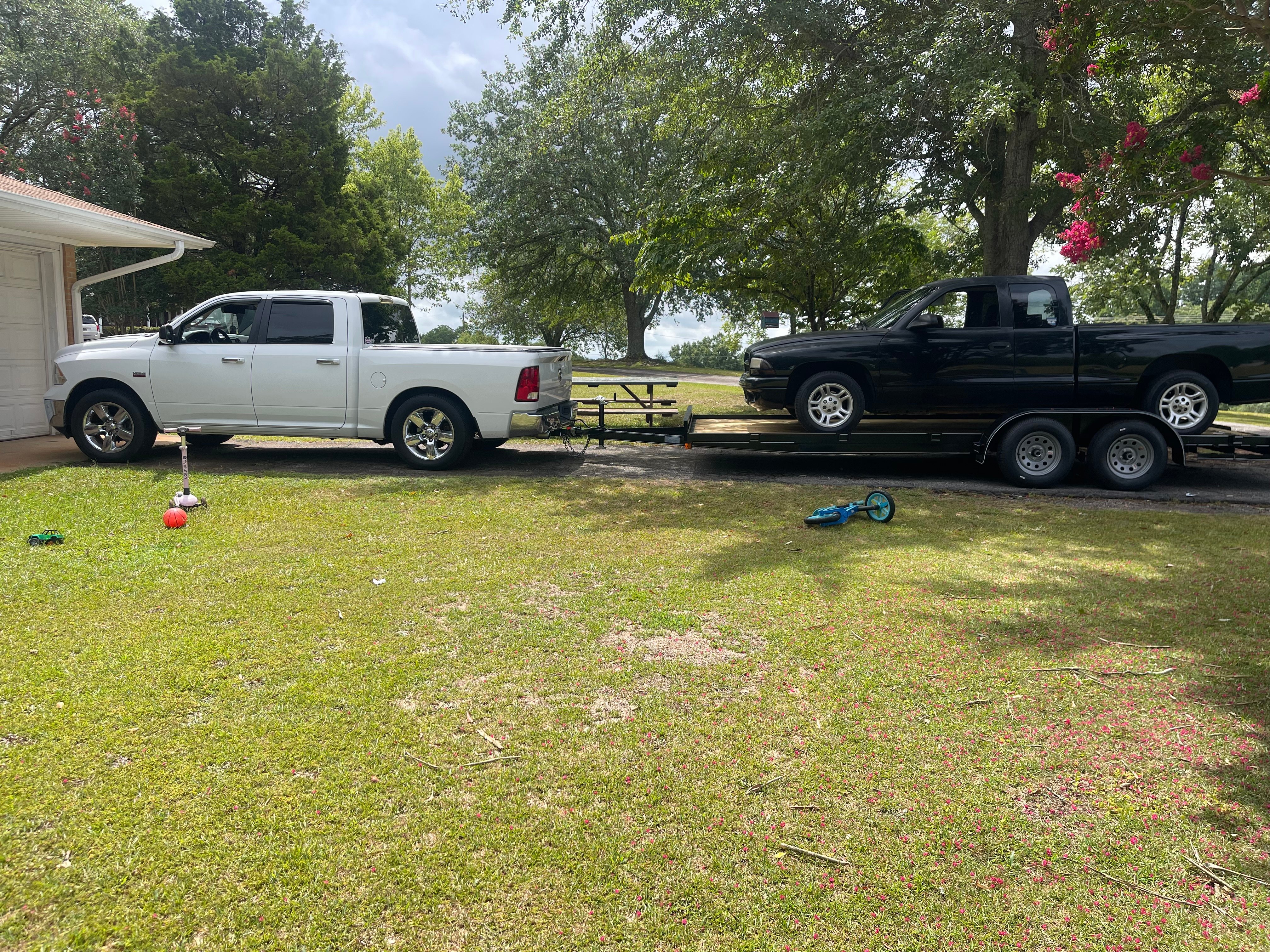 Avatar for Wyatt brown