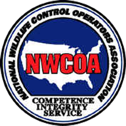 Avatar for ALL WILDLIFE CONTROL