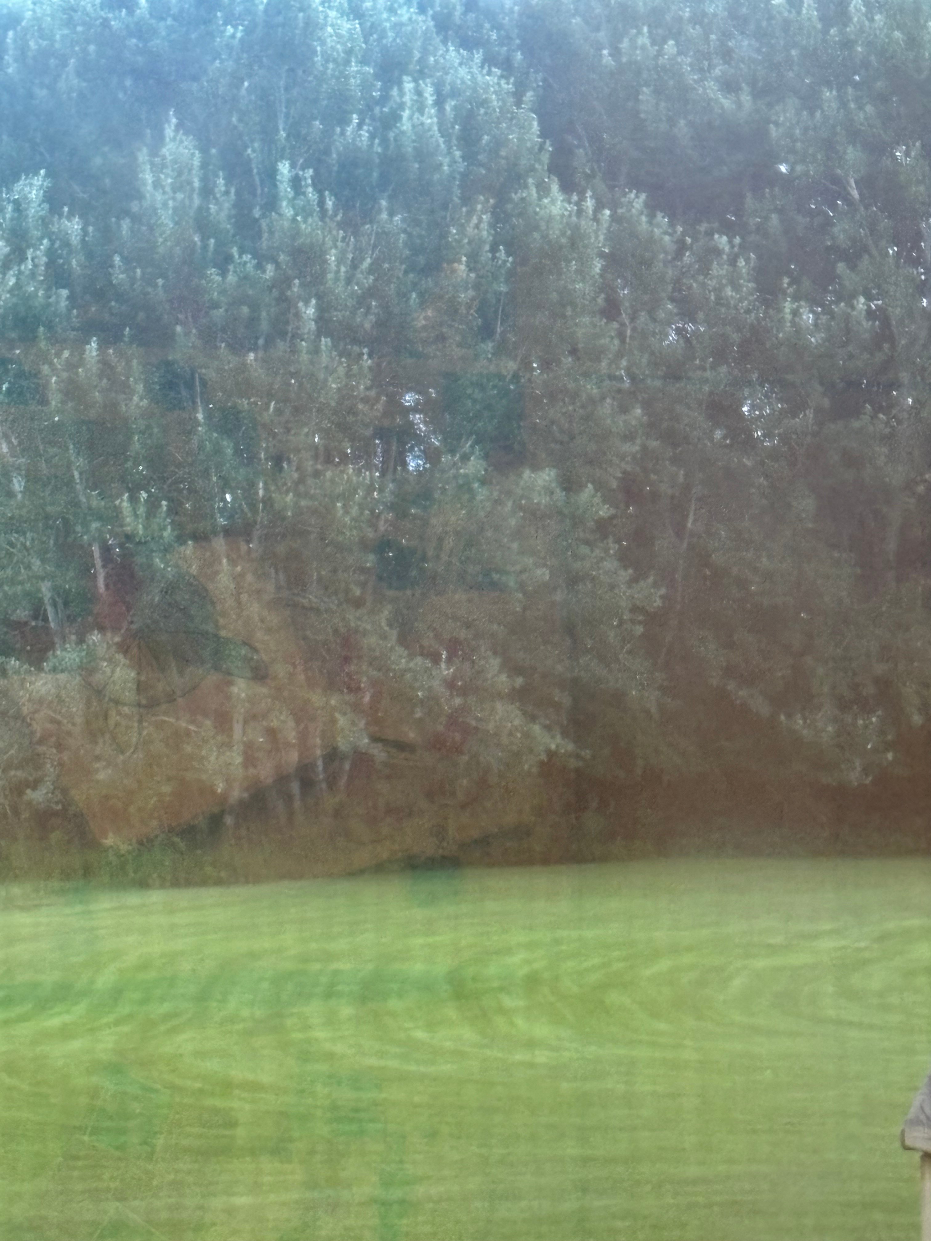 Avatar for lawn help