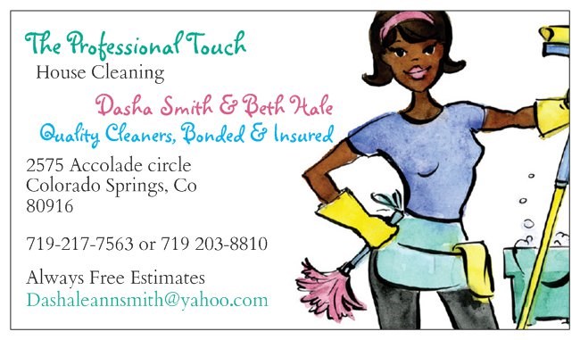 The Professional Touch house cleaning logo