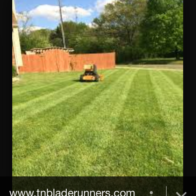 All Season Lawn Maintenance logo