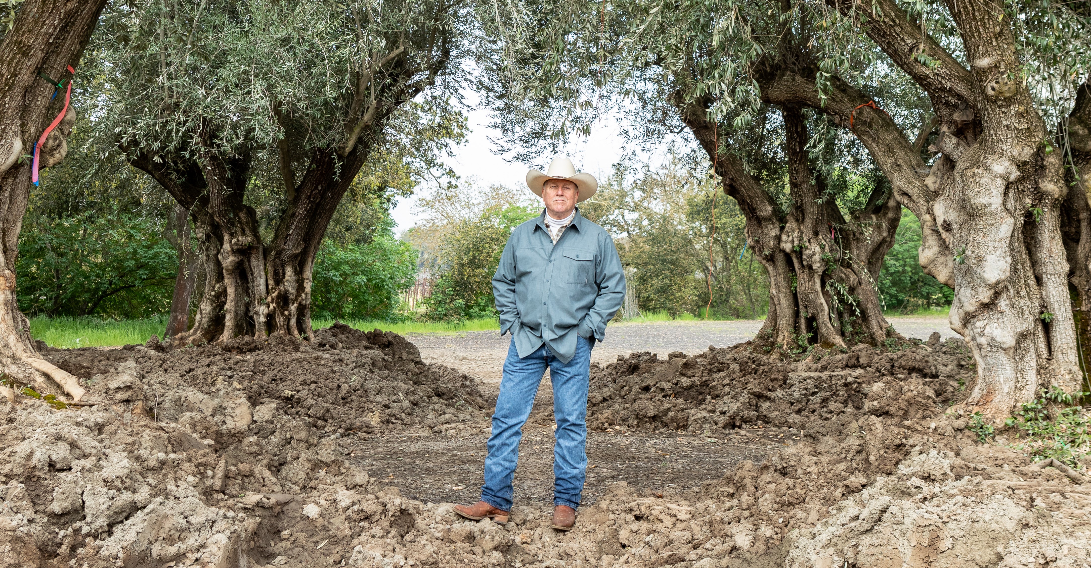 Avatar for Terra Natura Design