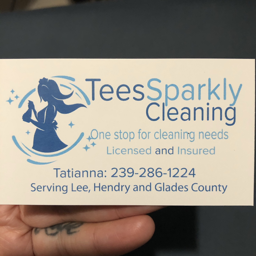 Tees Sparkly Cleaning  logo