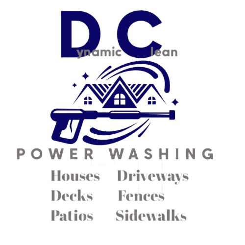 Avatar for Dynamic Clean