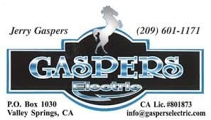 Avatar for Gaspers Electric