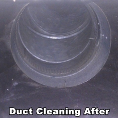 Avatar for AdvantaClean of the State Line