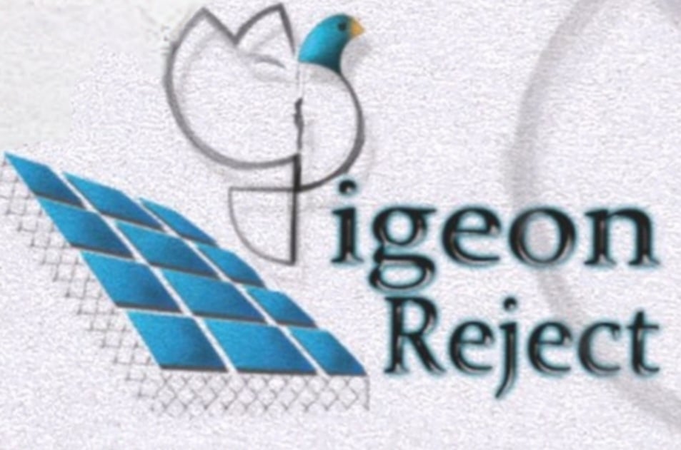 Avatar for Pigeon Reject