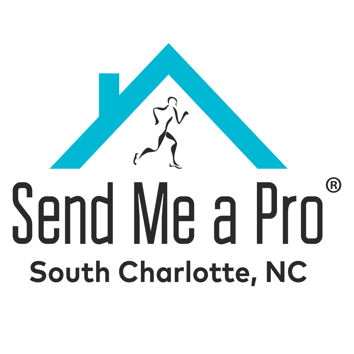 Avatar for Send Me a Pro - South Charlotte