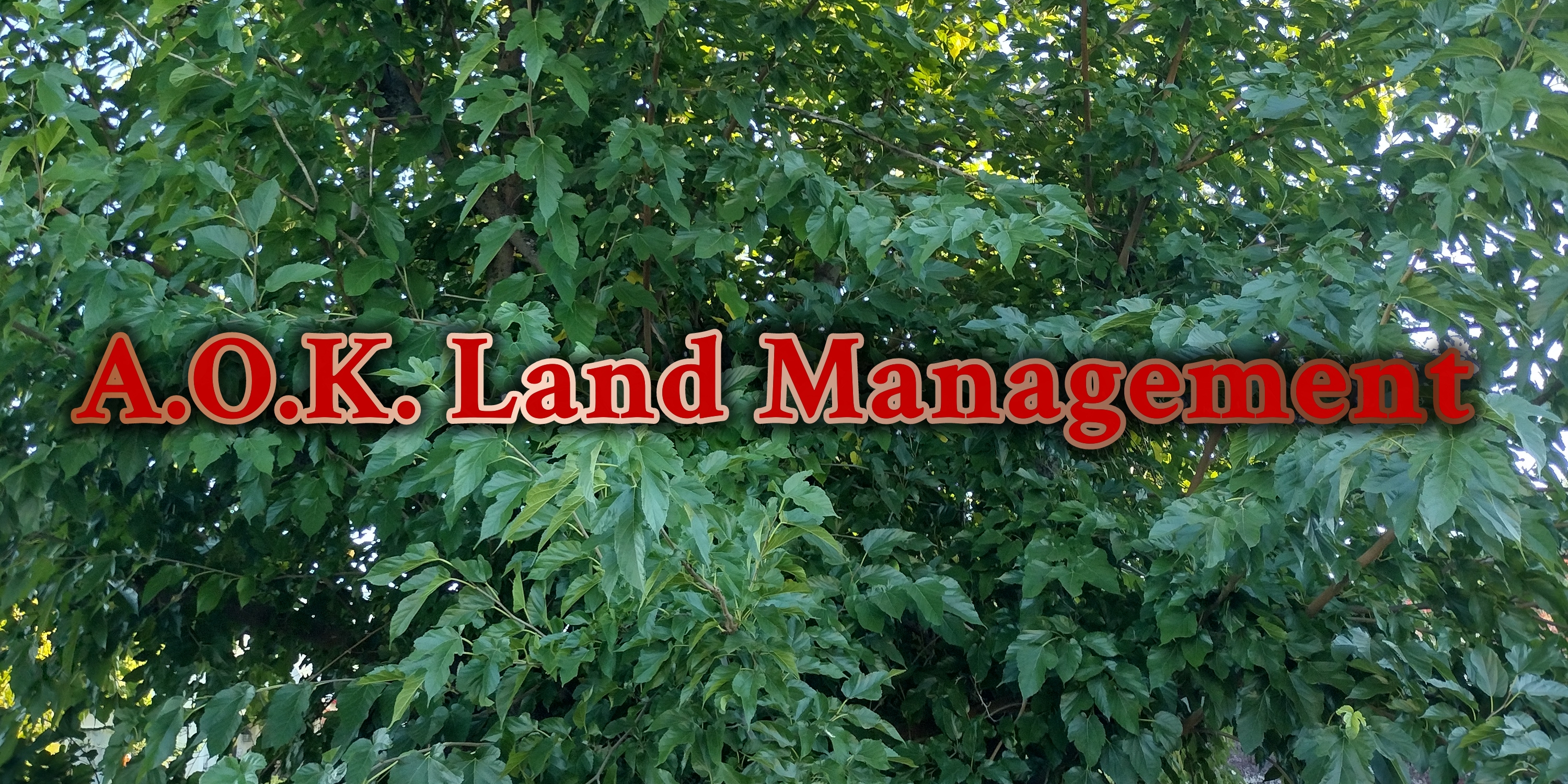 Avatar for A.O.K Land Management