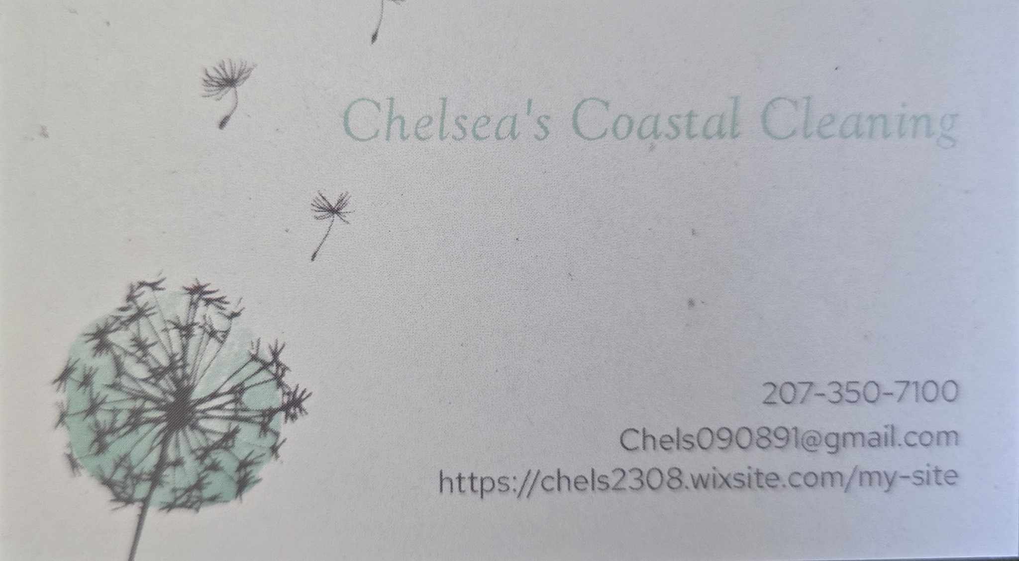 Avatar for Chelsea's Coastal Cleaning