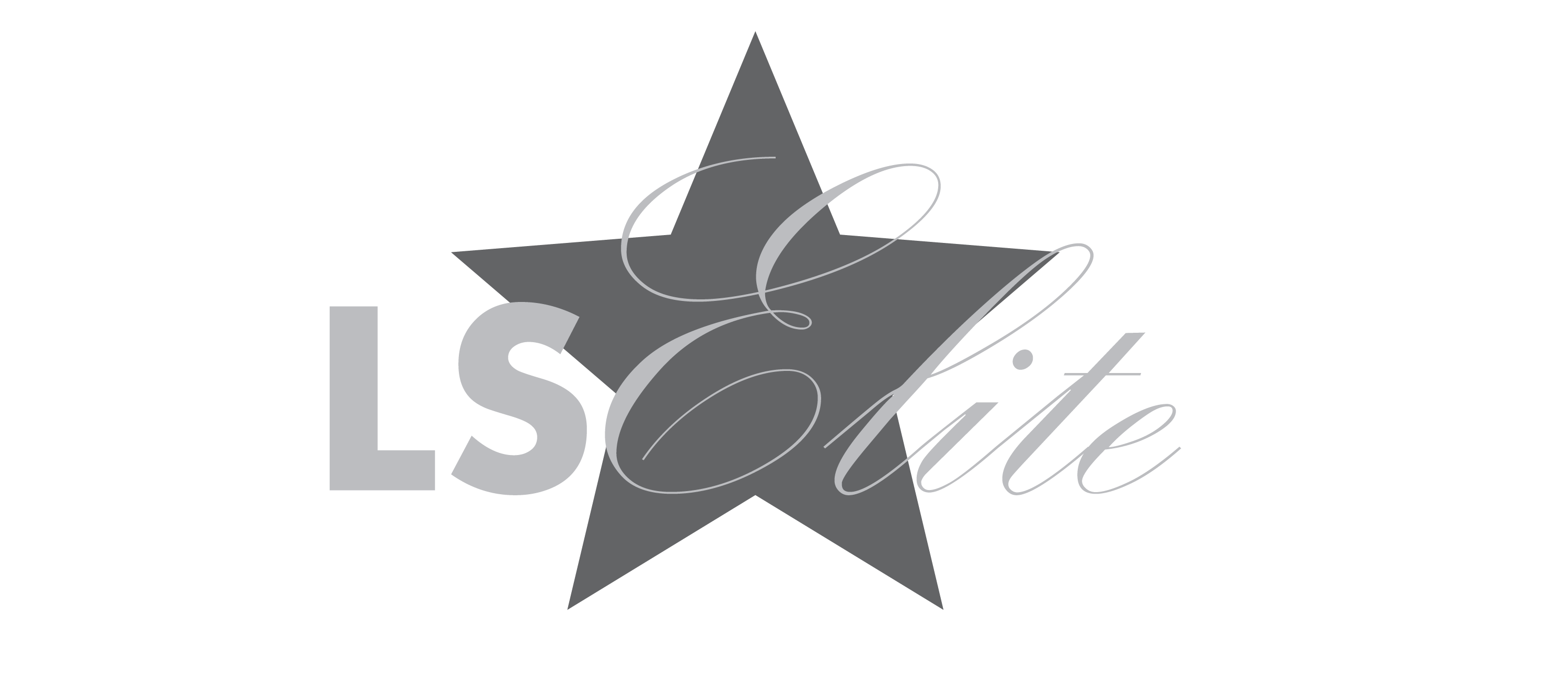 LS Elite LLC logo