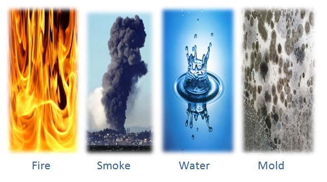 Avatar for Spittle's Cleaning & Restoration