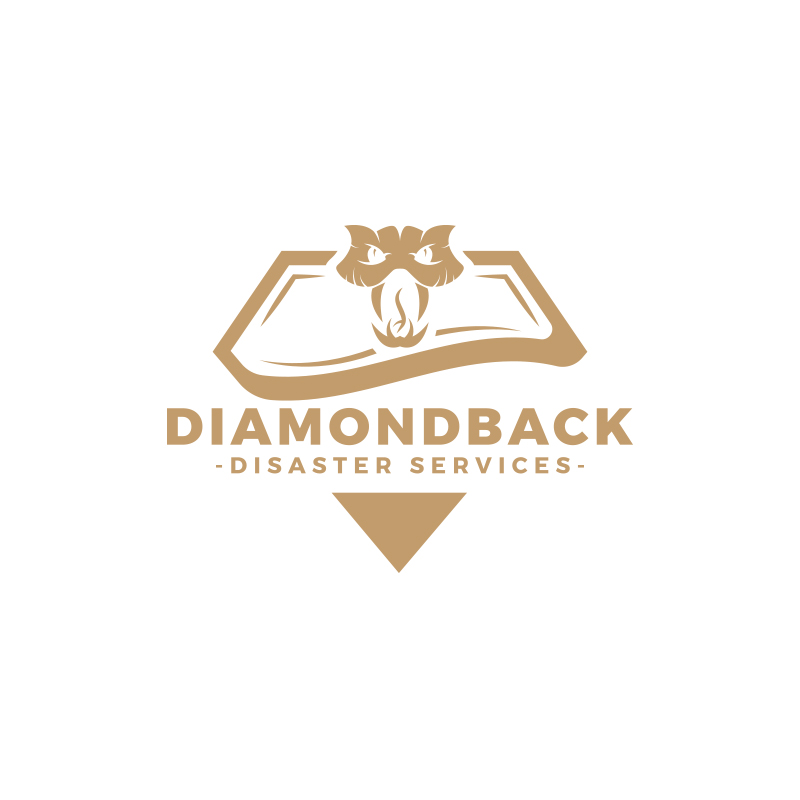 Avatar for Diamondback Disaster Services