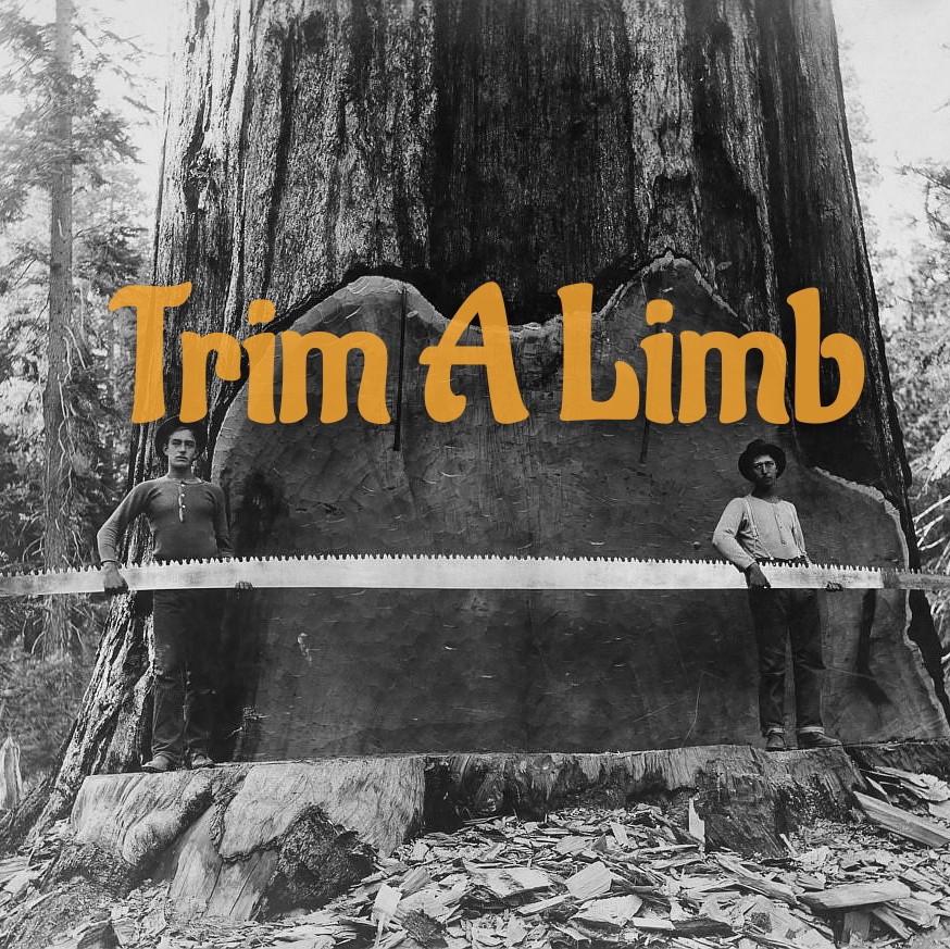 Avatar for trim a limb