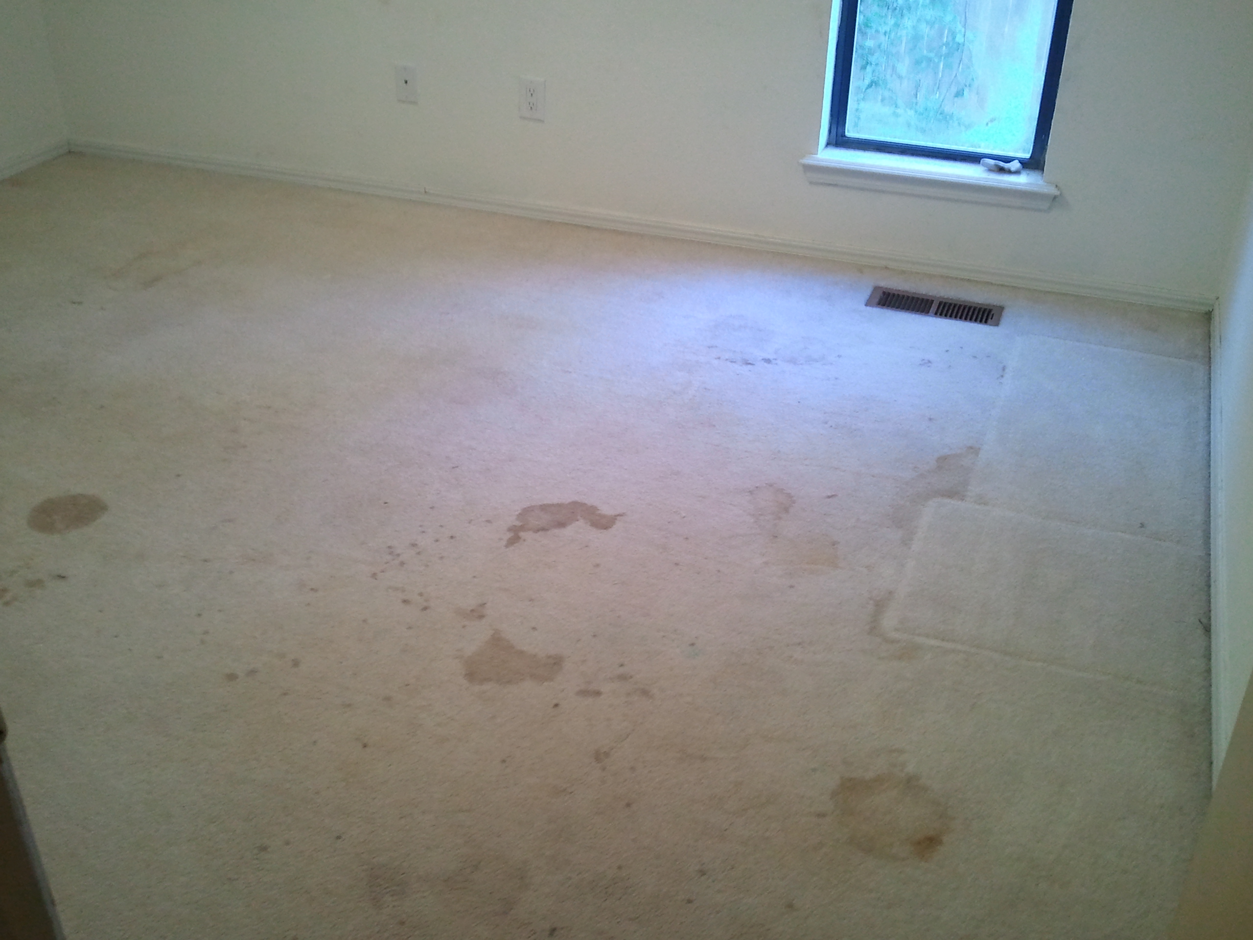 Clean And Dry Reviews Norman, OK Angi