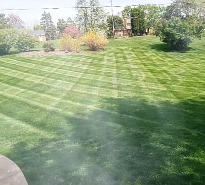 Avatar for Dimond edge lawncare