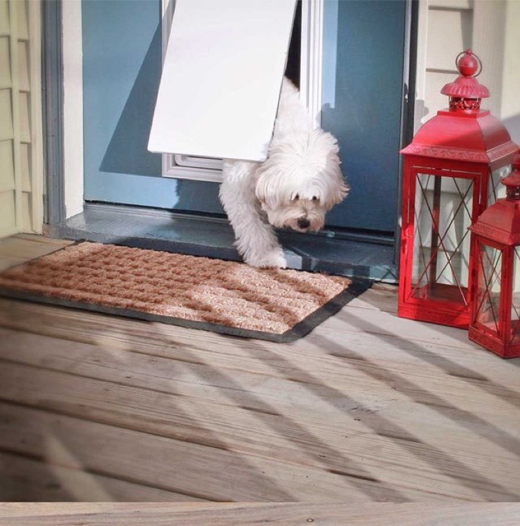 Pet Door