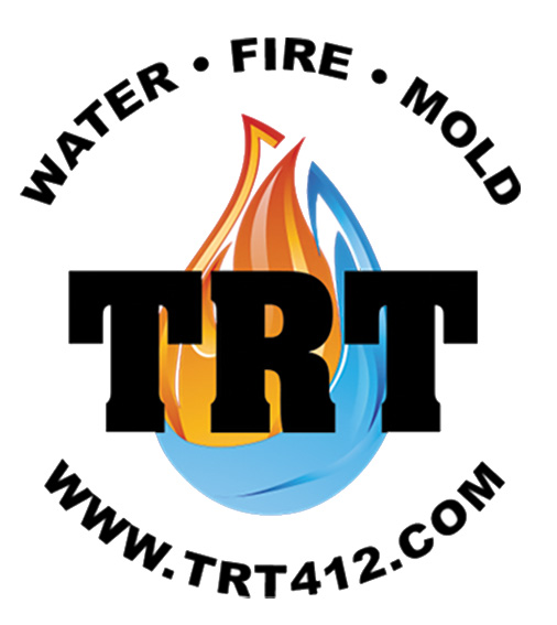 Logo for The Restoration Team