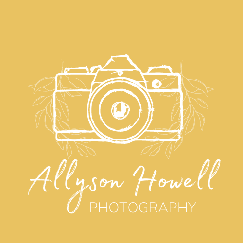 Avatar for Allyson Howell Photography