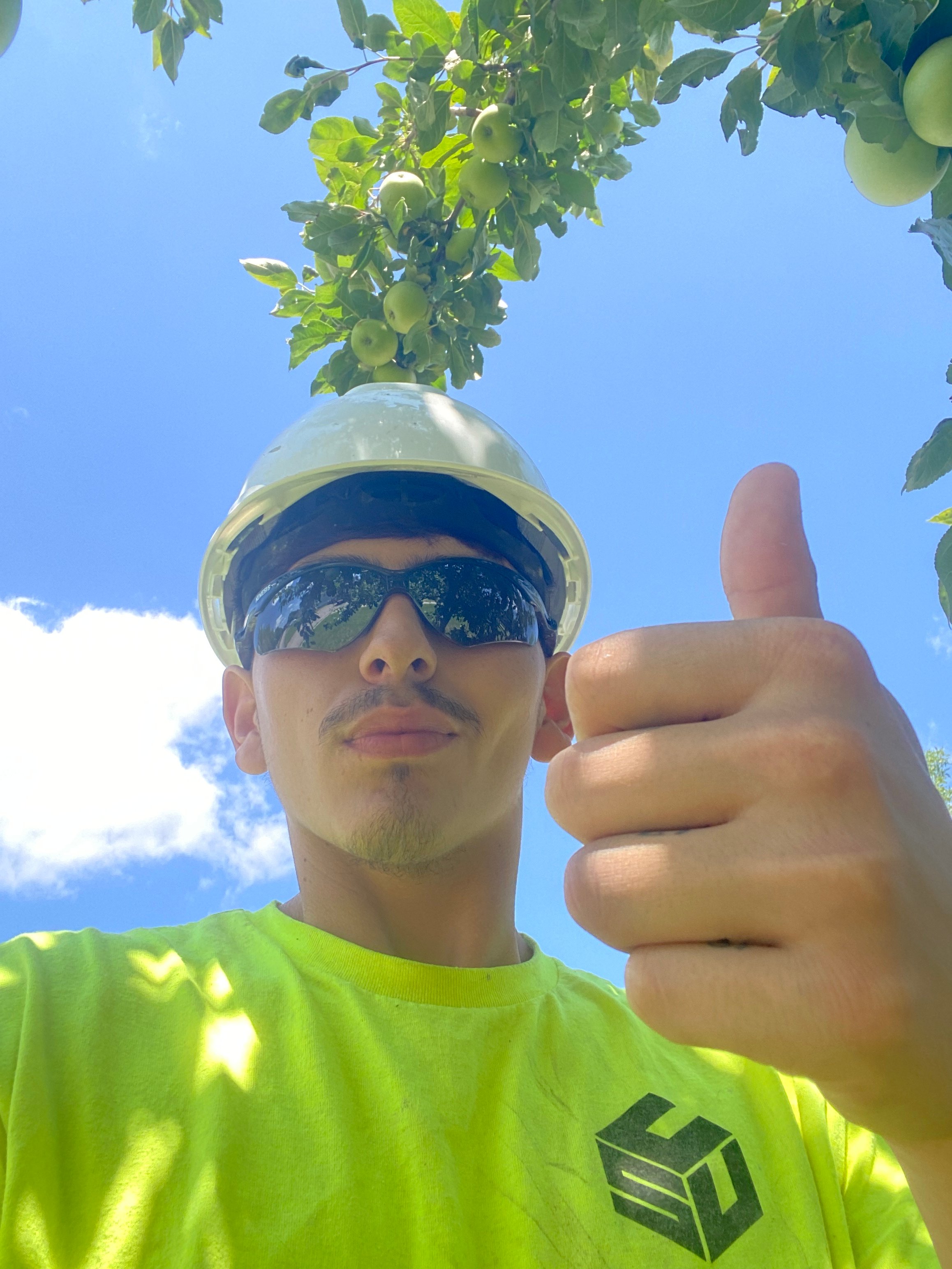 Avatar for Cole callies 