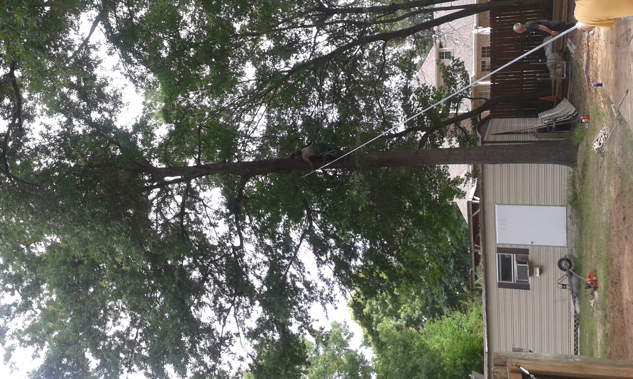 Avatar for JJ's tree service and lawn care