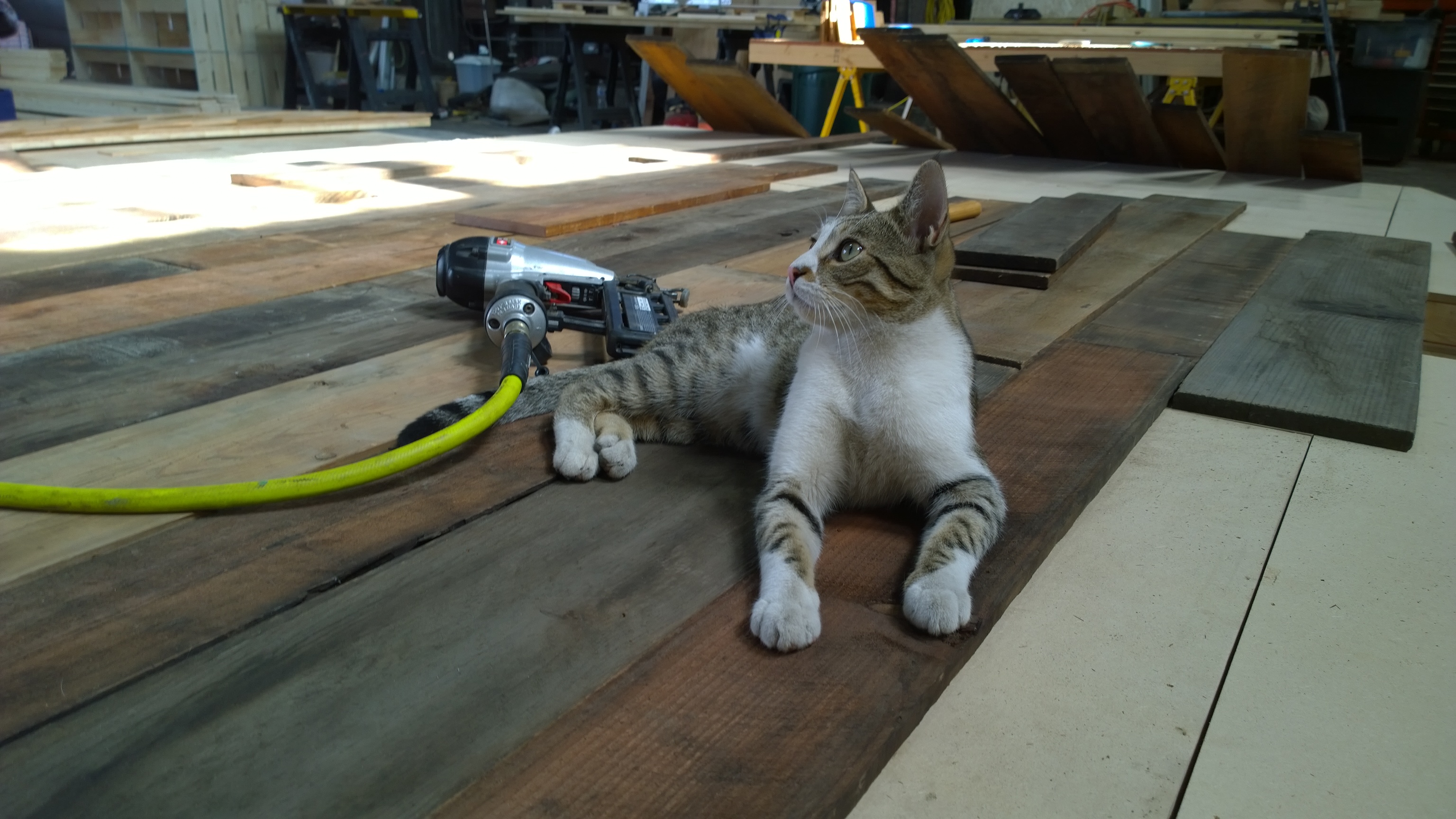 Avatar for G.F. Services