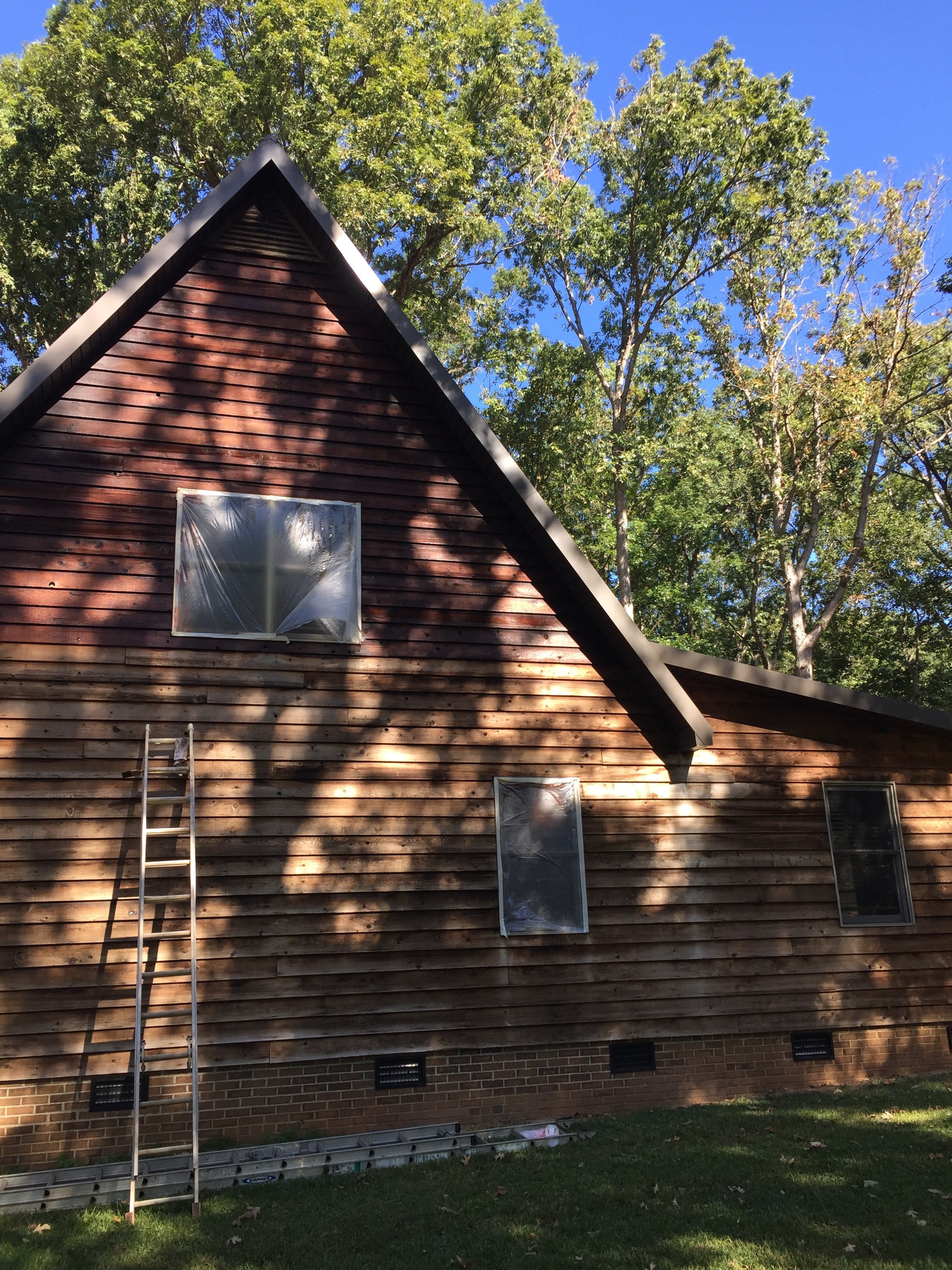 Avatar for Red Brush Painting