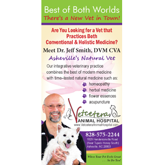 Recent Ad