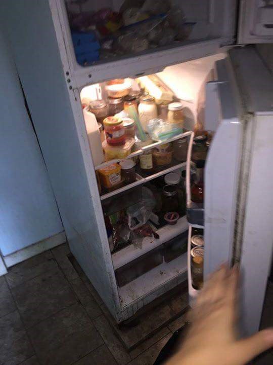 Avatar for No New Girl Excuse's