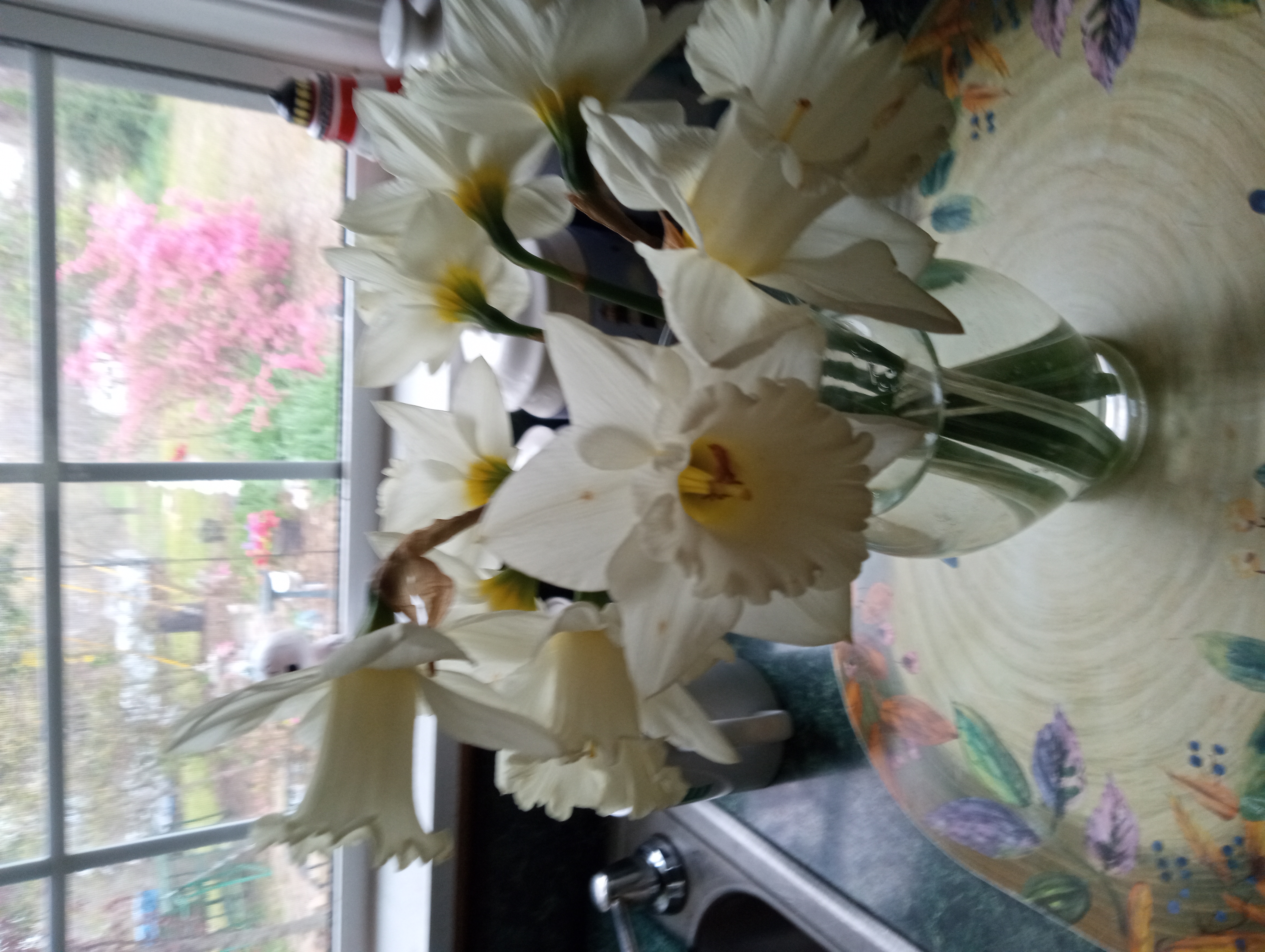 Avatar for E's cleaning