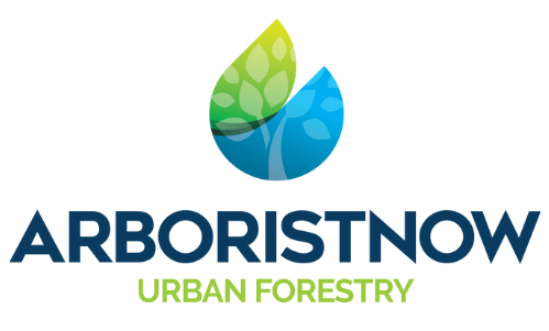 Avatar for Homescape Now