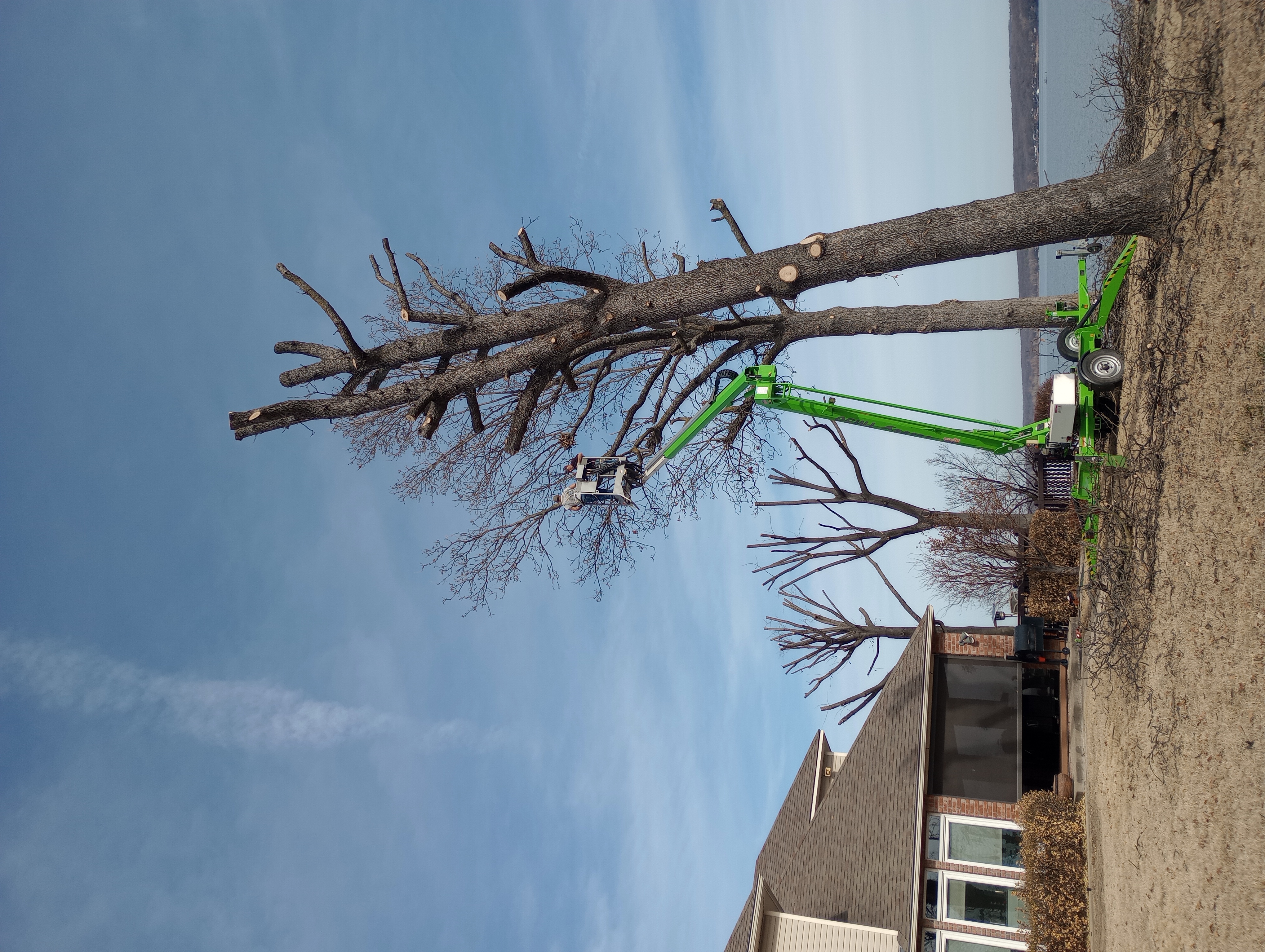 Avatar for Palmer's tree service llc