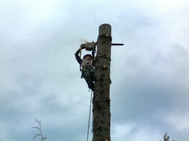 Arborist
