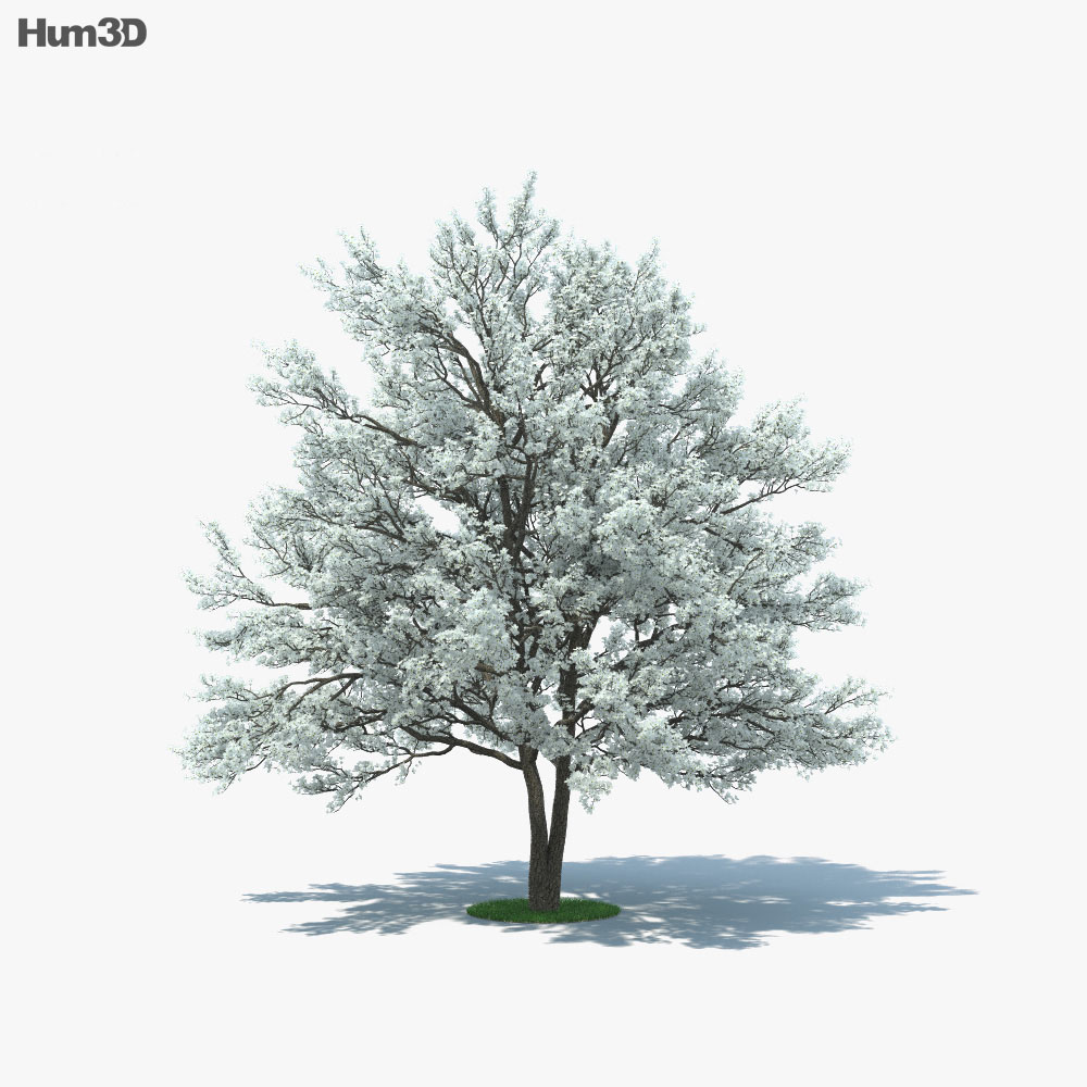 Avatar for Dogwood Tree Service
