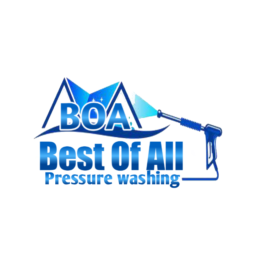 Avatar for Boa Pressure washing llc 