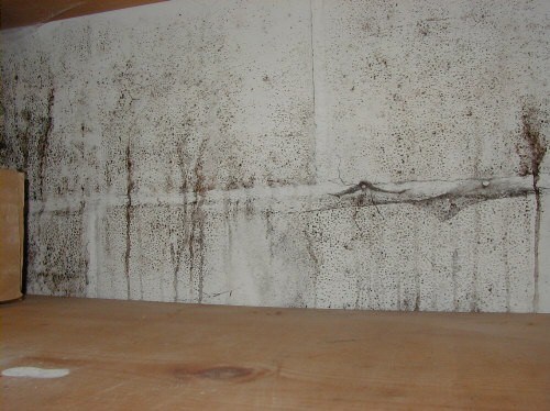 Water Damage