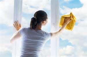 WithOut A Mirror Cleaning & Windows logo