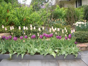 Fall Plantings