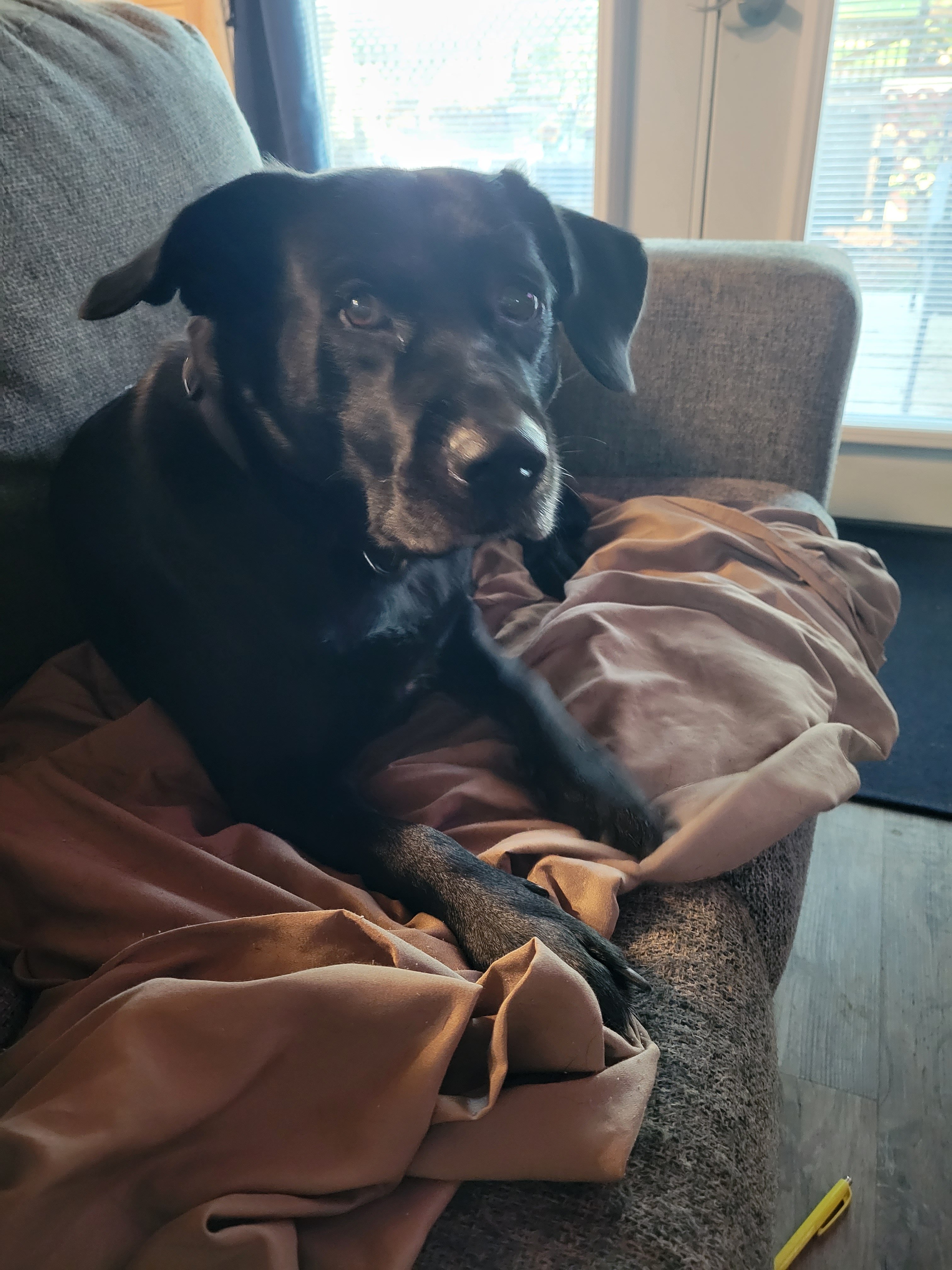 Avatar for Raymond Tessier