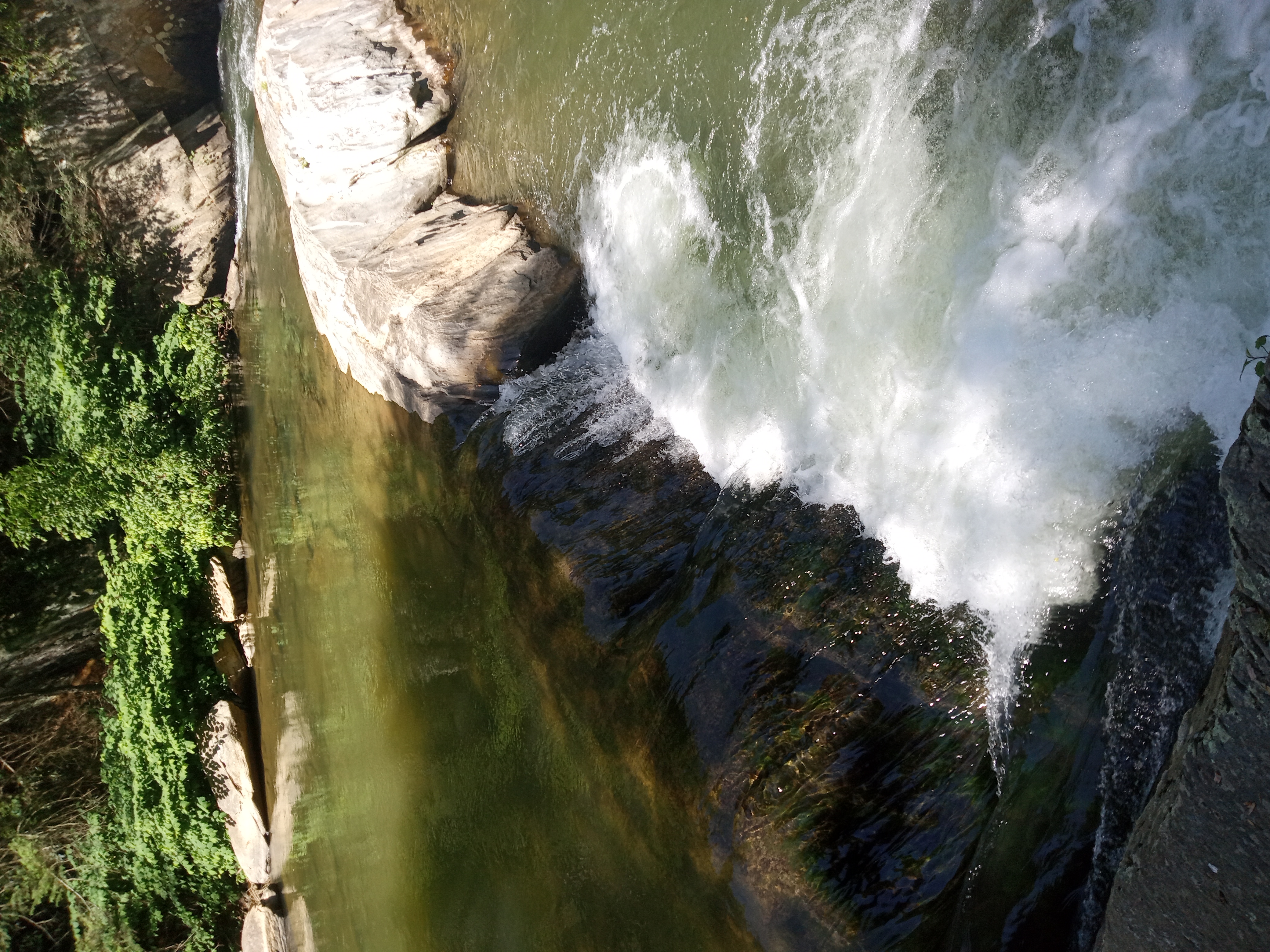 Avatar for Home Comfort 