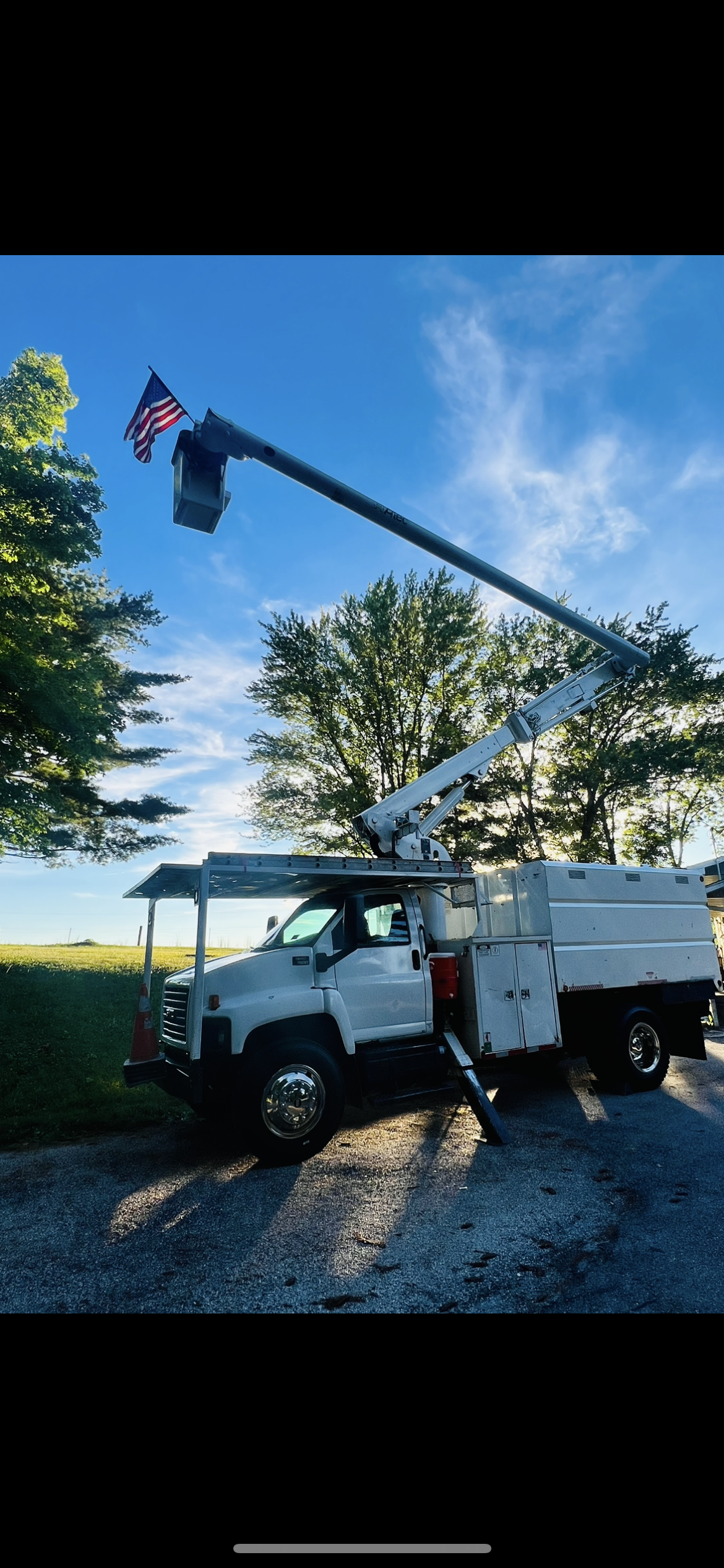 Avatar for LS Tree Service LLC